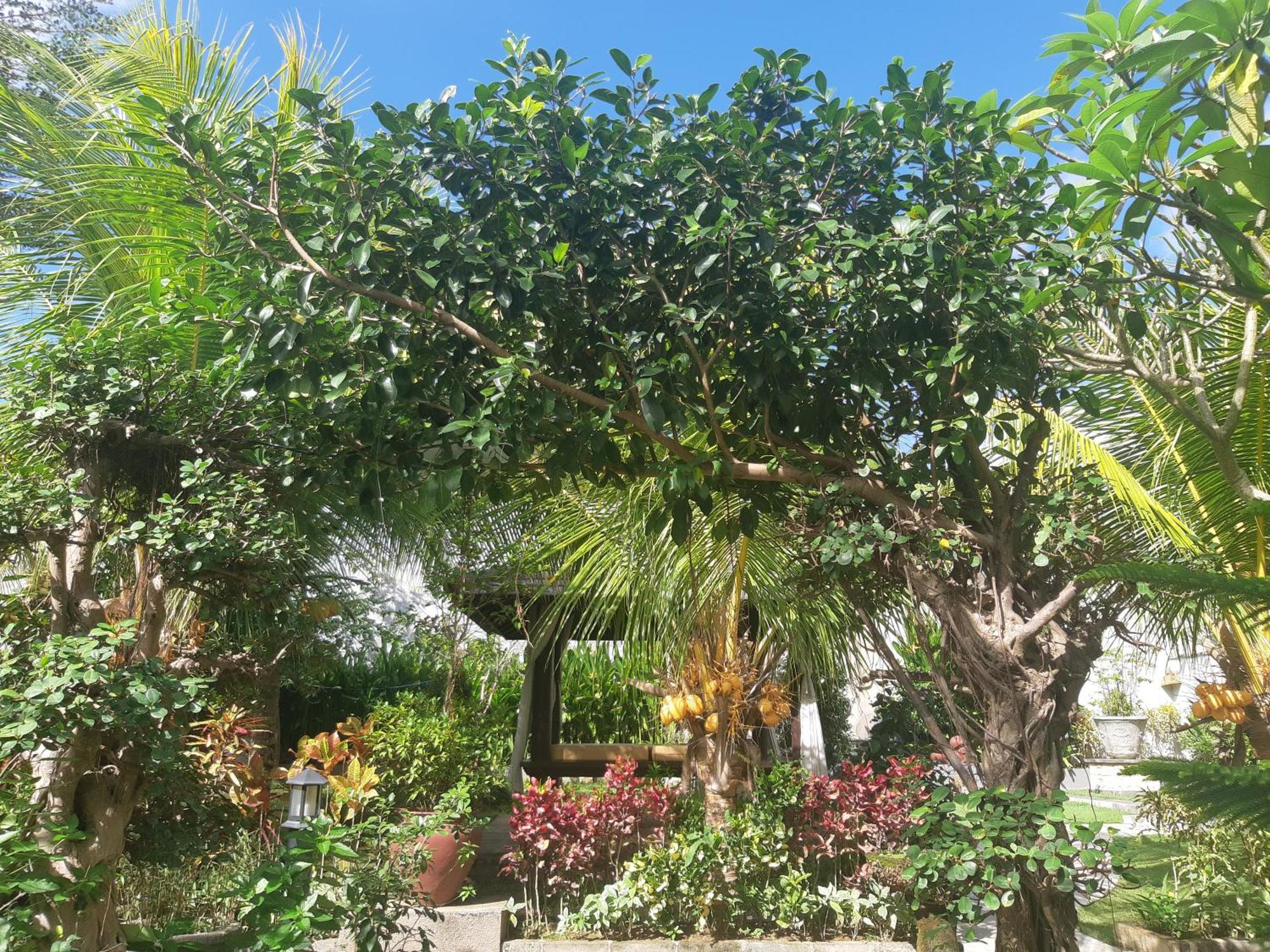 Muaya Villa Jimbaran Dış mekan fotoğraf